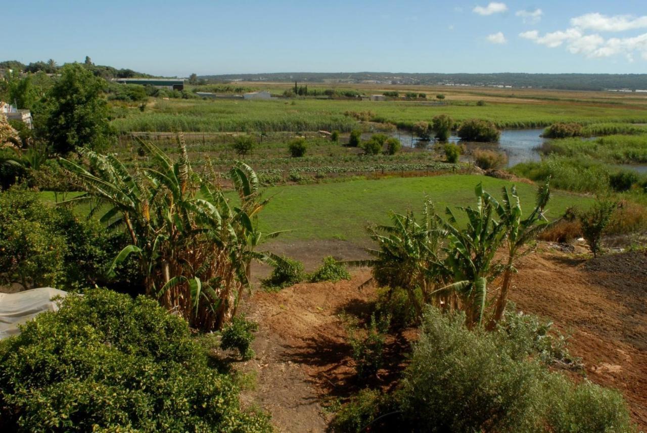 Pueblos Blancos Vejer de la Frontera Kültér fotó